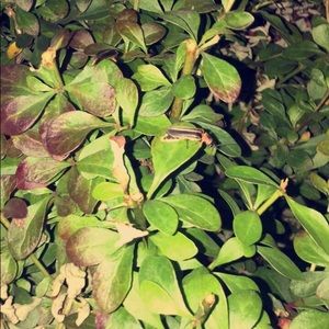 Meet your Posher, Ava